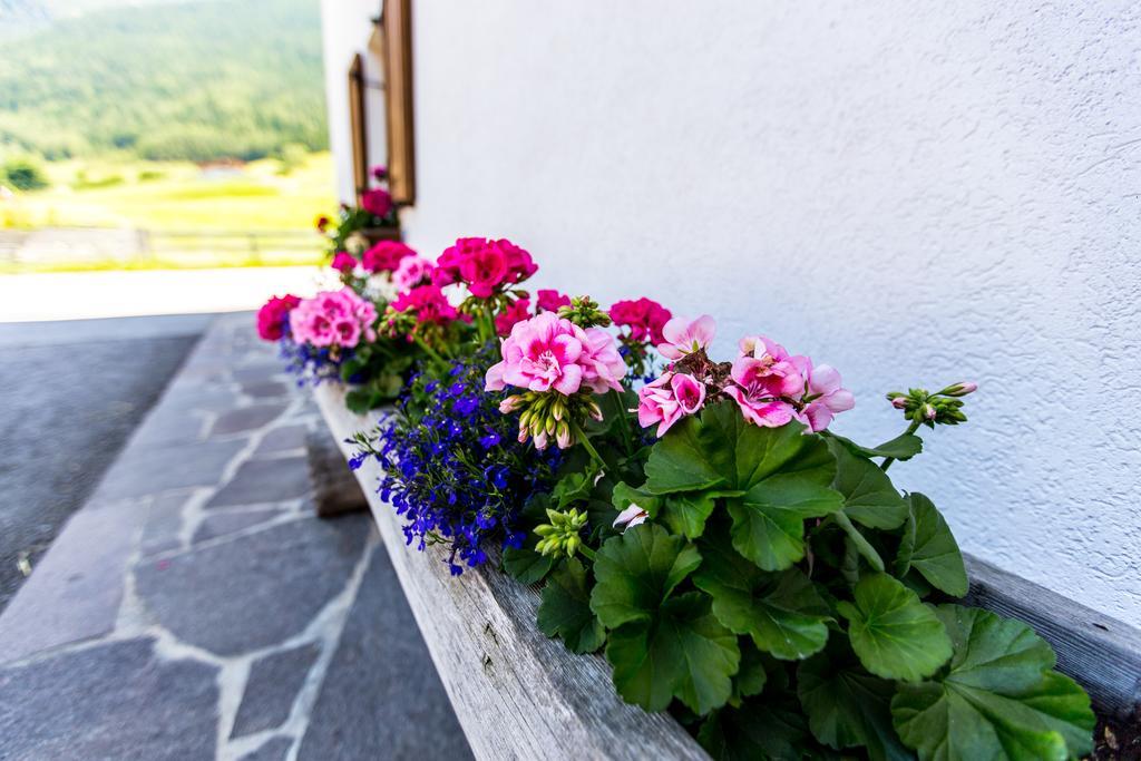 Ferienwohnung Kindl Manuela Neustift im Stubaital Exteriér fotografie